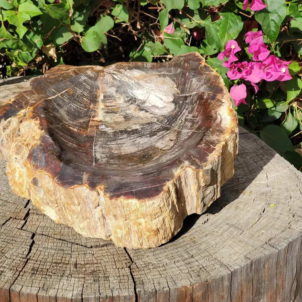 13lbs+ Red Brown XL Petrified Wood Fossilized Bowl 6210 grams